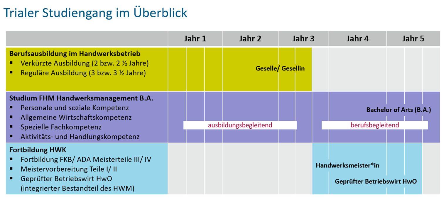 Ablauf des trialen Studiums über fünf Jahre, gegliedert in Berufsausbildung, Studium an der FHM und Fortbildung.