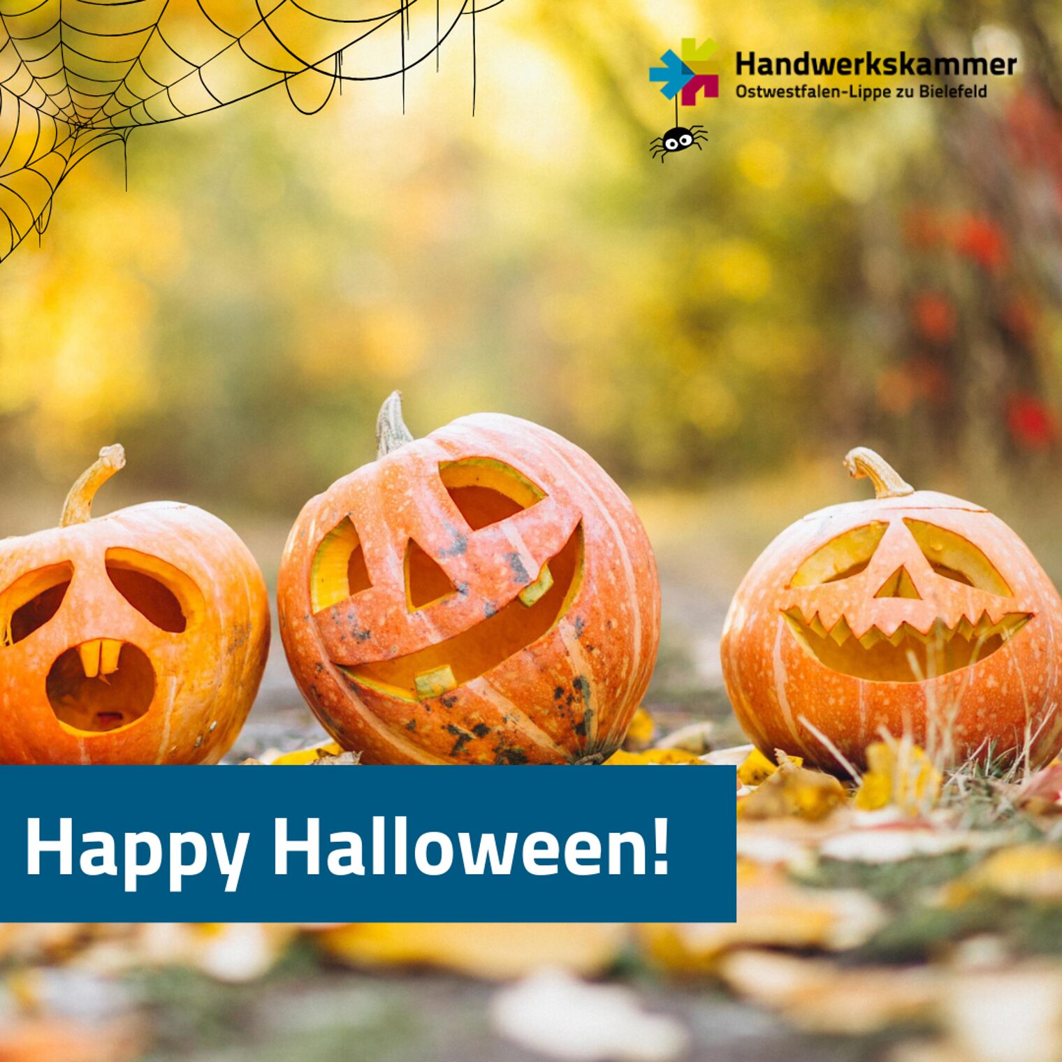 Bild passend zu Halloween mit drei Kürbissen drauf. Links unten ist ein dunkelblauer Balken auf dem "Happy Halloween" steht.