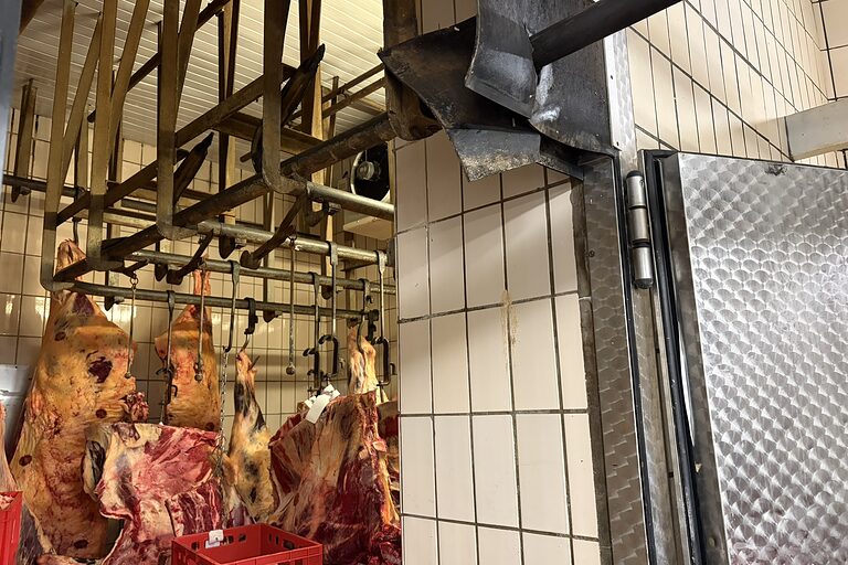 Impressionen aus dem Werkstattbesuch