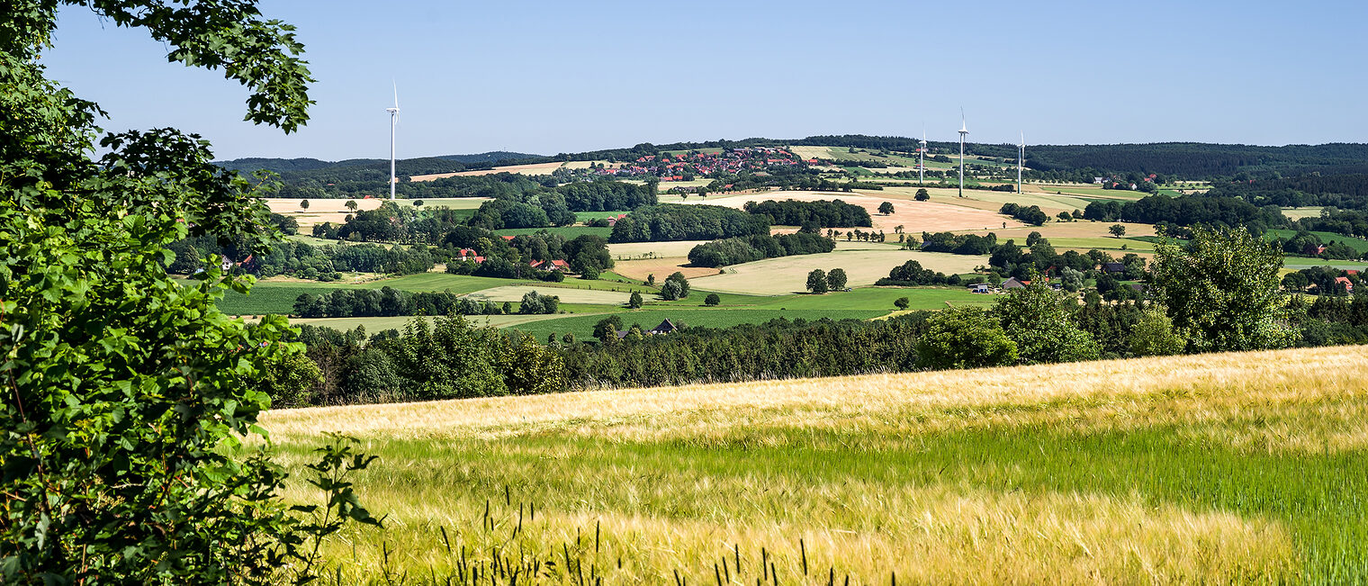 Ostwestfalen Lippe Weserbergland HAD Format Sommer